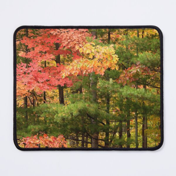 Item preview, Variety of Colours in a Canadian Autumn designed and sold by PhotosBySusanne.