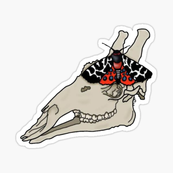 Giraffe Skull with Garden Tiger Moth Sticker