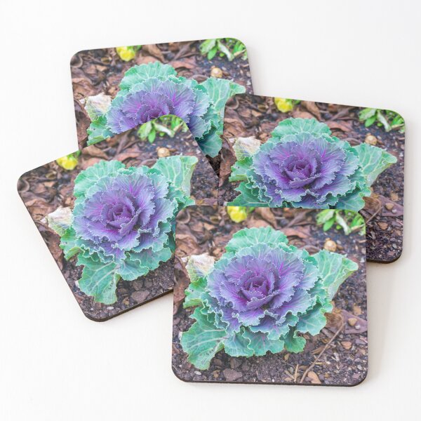 Item preview, Wild Cabbage designed and sold by TinyDinoDesigns.