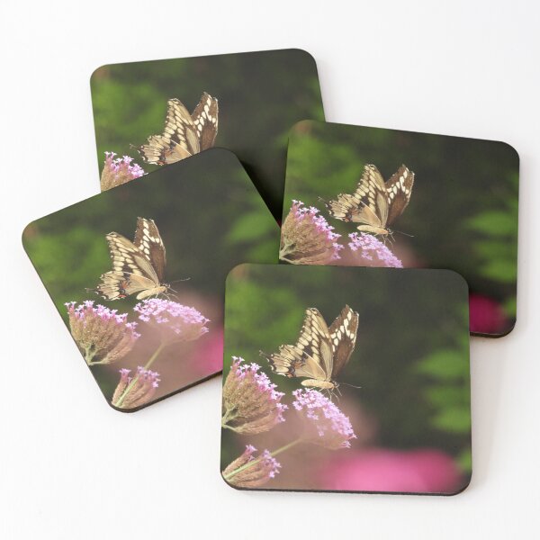 Item preview, A Swallowtail on a flower designed and sold by PhotosBySusanne.