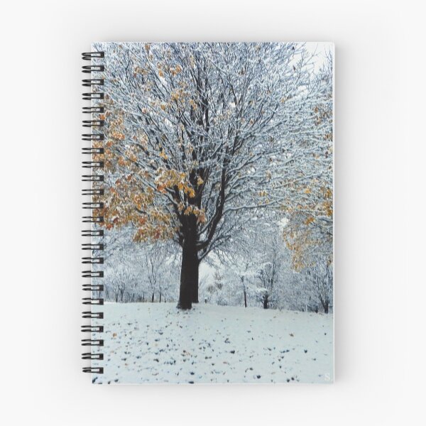 Item preview, Autumn Leaves left on Winter Trees designed and sold by PhotosBySusanne.
