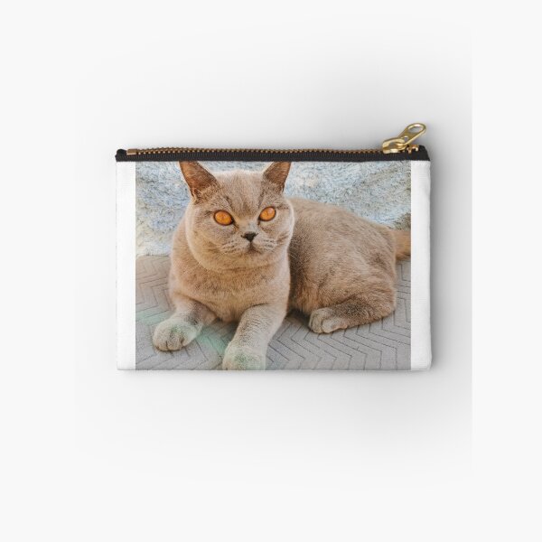 Item preview, Grey Cat designed and sold by SaraTomlinson55.