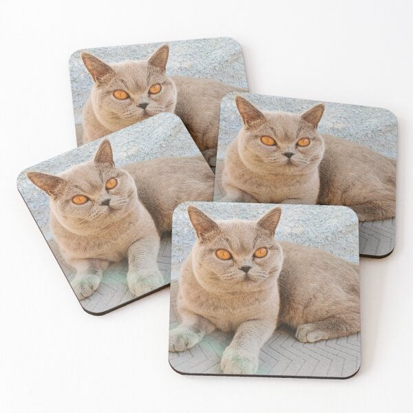 Item preview, Grey Cat designed and sold by SaraTomlinson55.