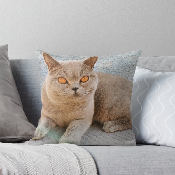 Item preview, Grey Cat designed and sold by SaraTomlinson55.