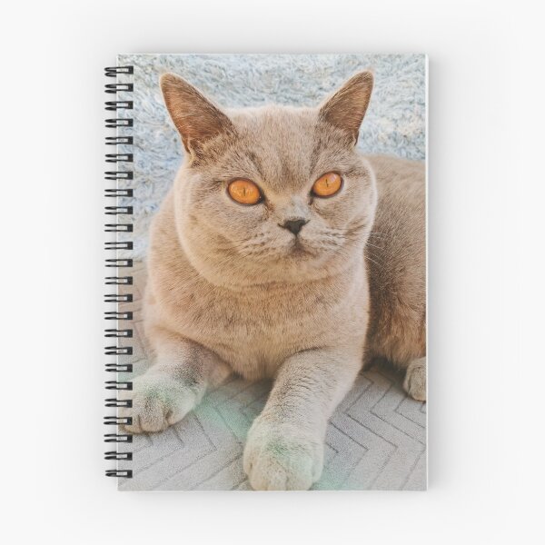 Item preview, Grey Cat designed and sold by SaraTomlinson55.
