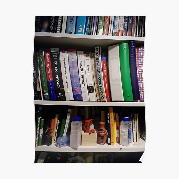 Book Shelves - Книжные полки Poster