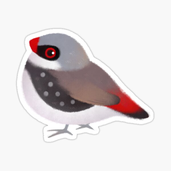 Item preview, Diamond Firetail designed and sold by pikaole.