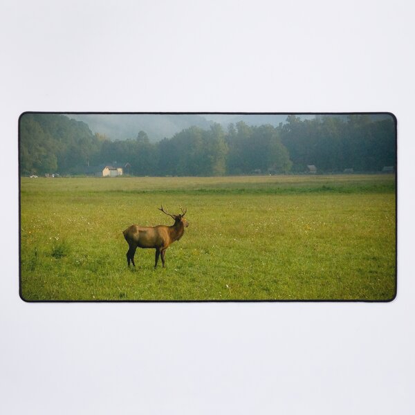 Item preview, A Moment of Peace designed and sold by Craig Kauzmann.