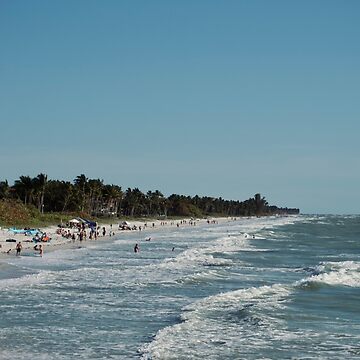 Artwork thumbnail, NAPLES FLORIDA BEACH OCEAN PIER by teruyalab