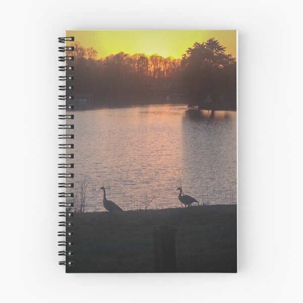 Item preview, Geese at Sunset designed and sold by Craig Kauzmann.