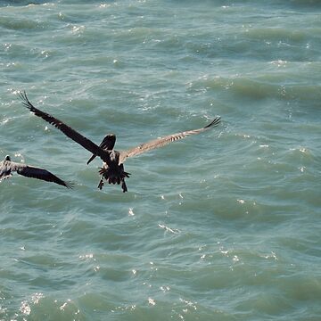 Artwork thumbnail, NAPLES FLORIDA BEACH OCEAN PIER PELICANS BIRD by teruyalab