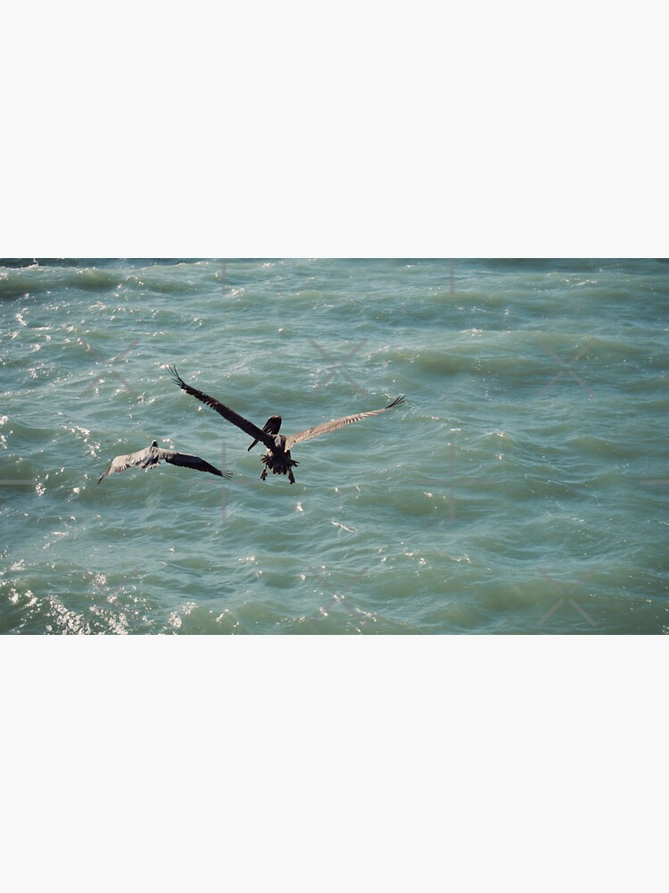 Thumbnail 3 of 3, Sticker, NAPLES FLORIDA BEACH OCEAN PIER PELICANS BIRD designed and sold by teruyalab.