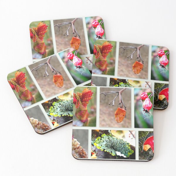 Item preview, Nature's Wonders designed and sold by angel1.