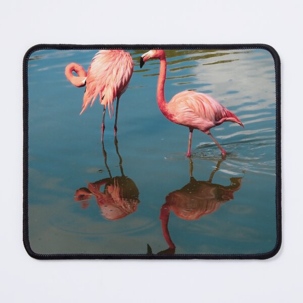 Item preview, Two Flamingos designed and sold by Kate-P-.