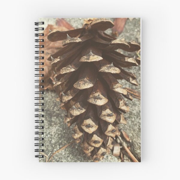 Item preview, Pine Cone designed and sold by Craig Kauzmann.