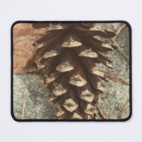 Item preview, Pine Cone designed and sold by Craig Kauzmann.