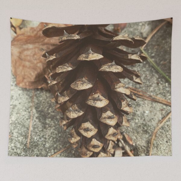 Item preview, Pine Cone designed and sold by Craig Kauzmann.