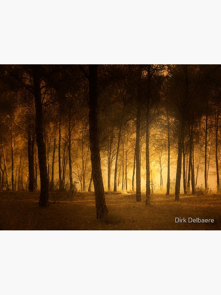 through the trees by Delbaere