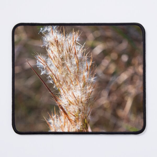 Item preview, Bushy Bluestem designed and sold by TinyDinoDesigns.