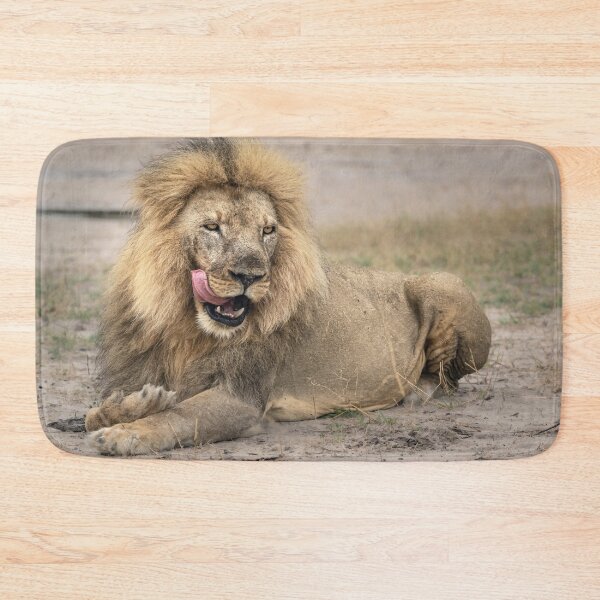 Item preview, Satisfied Lion Zimbabwe Africa 2 designed and sold by PhotoArt by Joan Carroll.
