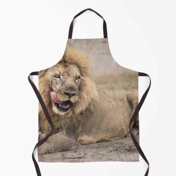 Item preview, Satisfied Lion Zimbabwe Africa 2 designed and sold by PhotoArt by Joan Carroll.