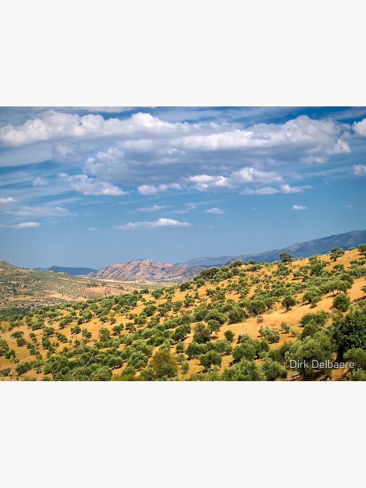 Andalucia, Spain by Delbaere