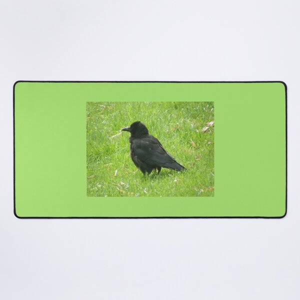 Item preview, Bad Hair Day Crow Photograph designed and sold by naturegallery.