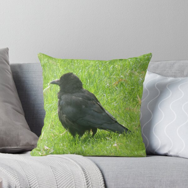 Item preview, Bad Hair Day Crow Photograph designed and sold by naturegallery.