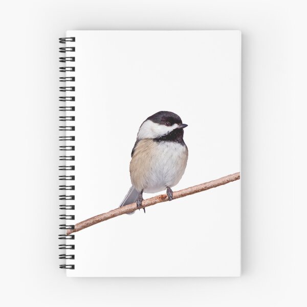 Item preview, Black capped chickadee bird designed and sold by KRFNatureGifts.