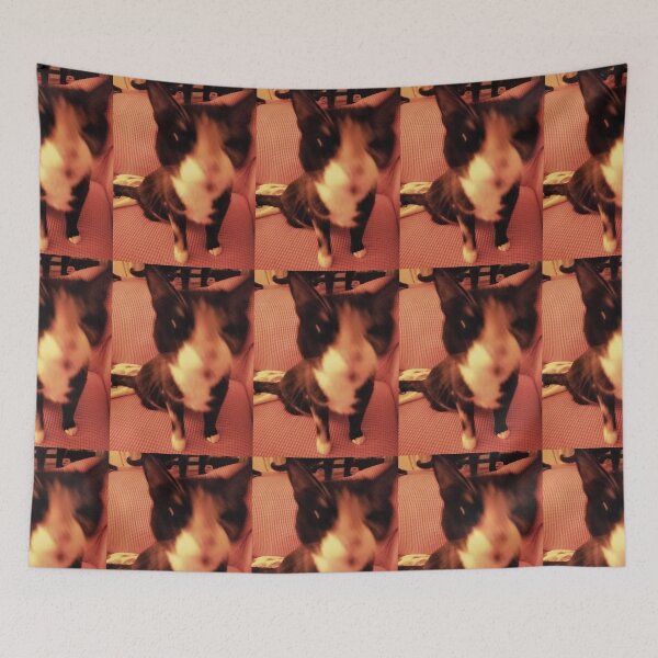 Item preview, blurry cat designed and sold by Michael Stewart.