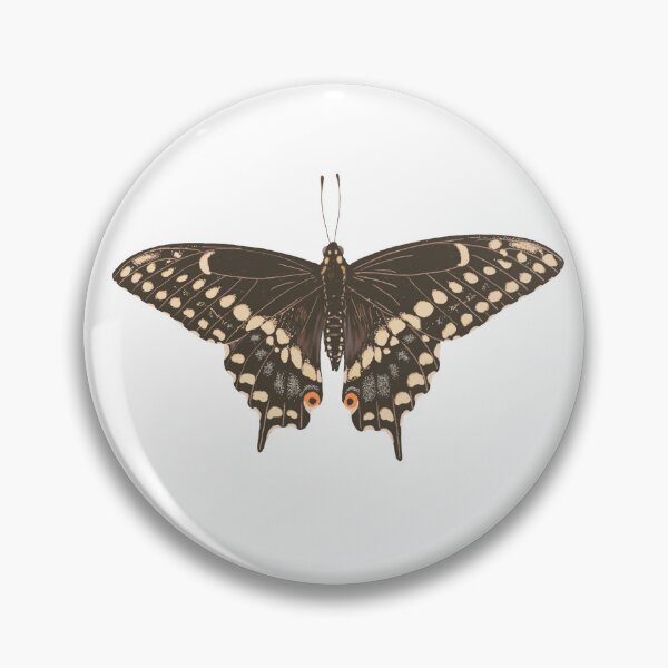 Item preview, Eastern Black Swallowtail Butterfly (Papilio polyxenes) Illustration designed and sold by ModelOrganism.