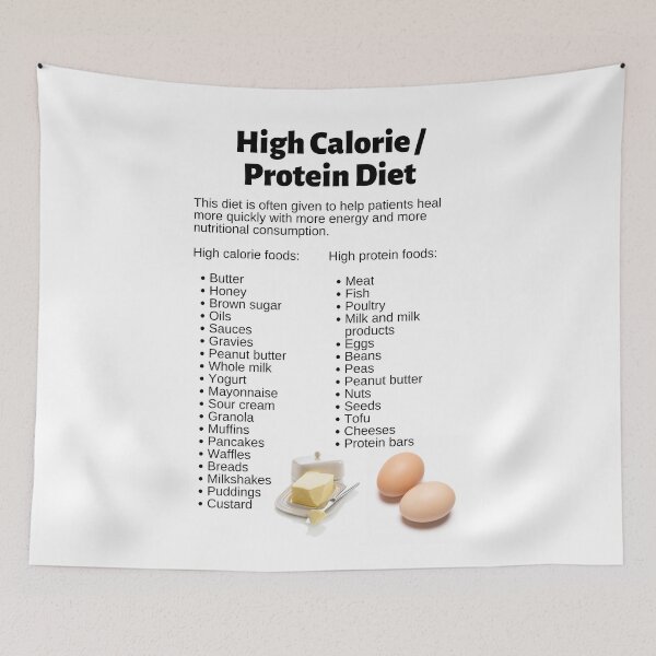 Item preview, High Calorie / Protein Diet Infographic designed and sold by Caregiverology.