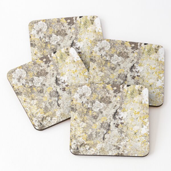 Item preview, Lichen on The Rollright Stones designed and sold by DanaAndTheBooks.