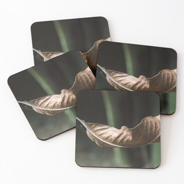Item preview, Dry leaf. designed and sold by Nino rocha fotografia.