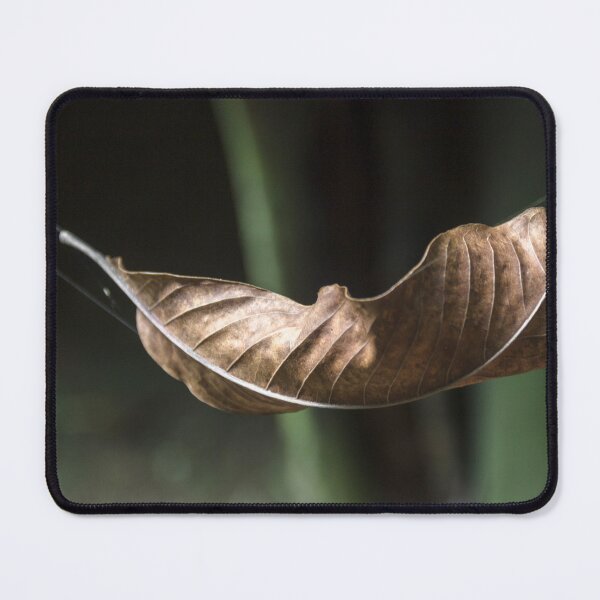 Item preview, Dry leaf. designed and sold by Nino rocha fotografia.