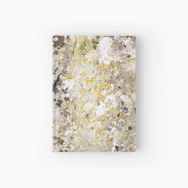 Aperçu de l'œuvre Lichen sur les pierres de Rollright créée et vendue par DanaAndTheBooks.