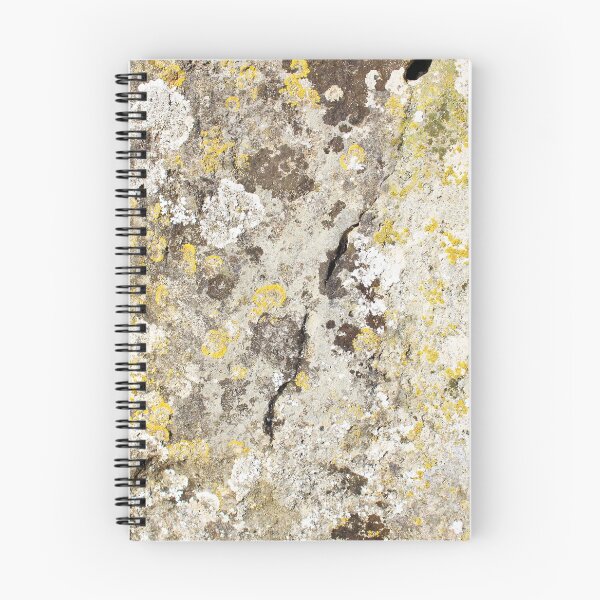 Item preview, Lichen on The Rollright Stones designed and sold by DanaAndTheBooks.