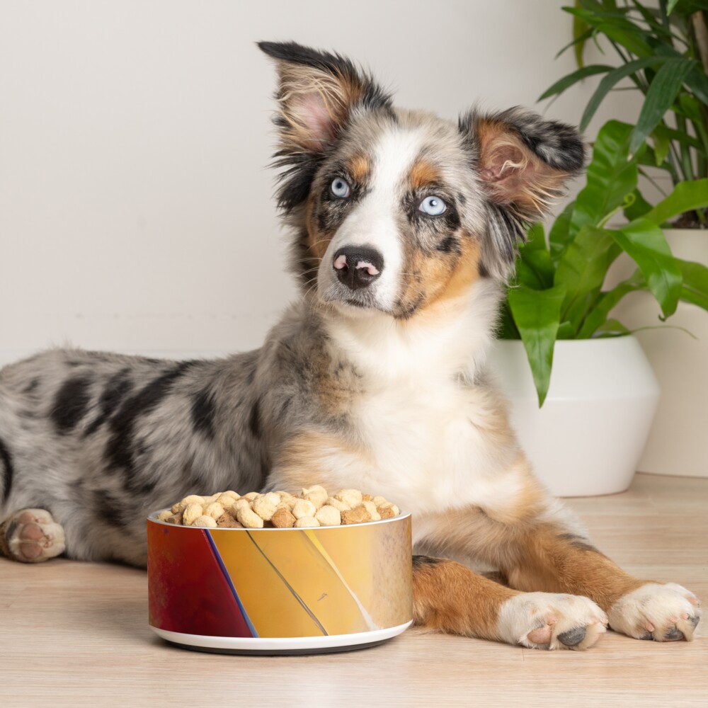 Item preview, Pet Bowl designed and sold by futureimaging.