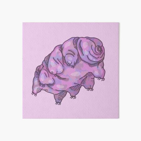 Item preview, Pink Tardigrade designed and sold by Cattywampus99.