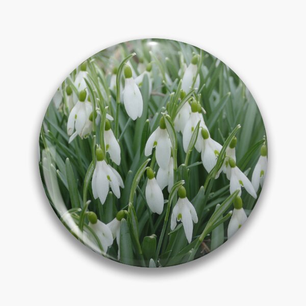 Item preview, Snowdrops designed and sold by Evergreen365.