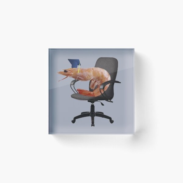 Item preview, Graduated Shrimp On Desk Chair  designed and sold by Shrimps 4 Life.