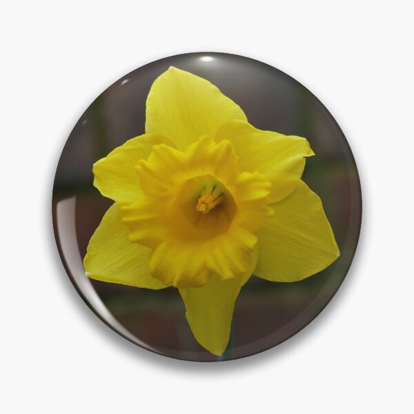 Item preview, Narciso designed and sold by Evergreen365.