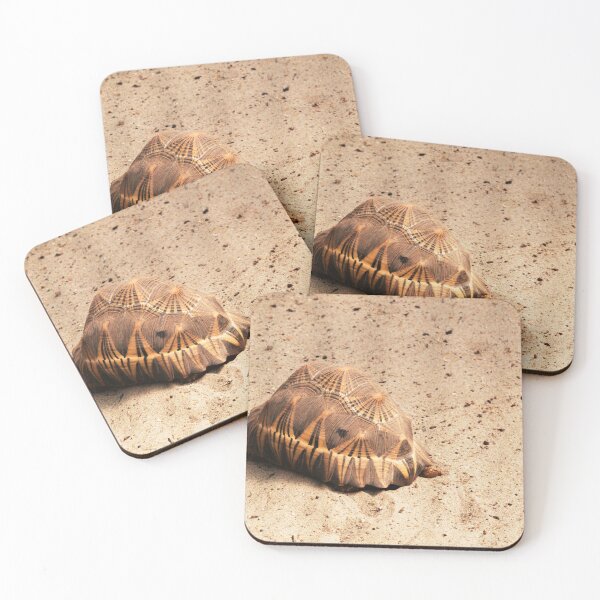 Item preview, Turtle designed and sold by tonimata.