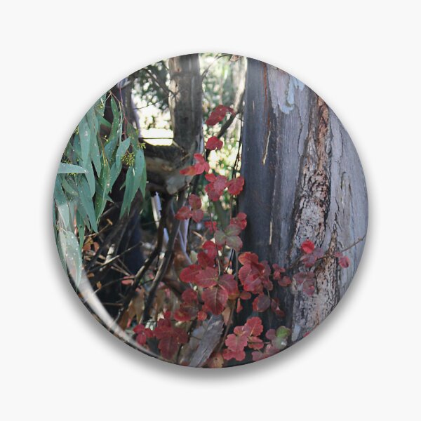 Item preview, Even Poison Oak Can be Pretty in the Fall designed and sold by Martha Sherman.