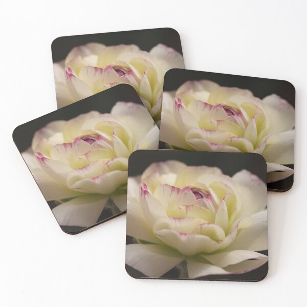Item preview, buttercups designed and sold by Susana Gurri.