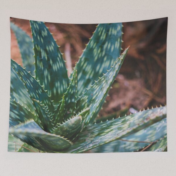 Aperçu de l'œuvre Agave vert créée et vendue par LazyCho.