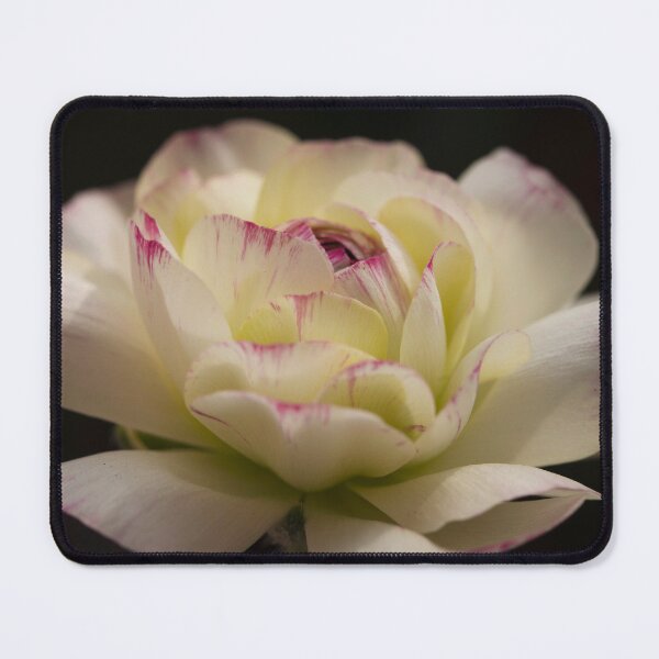 Item preview, buttercups designed and sold by Susana Gurri.