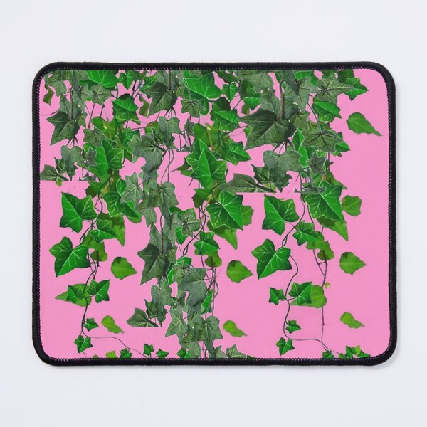Item preview, HANGING GREEN IVY HOUSE PLANT PINK ART designed and sold by sharlesart.