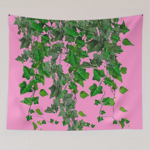 Item preview, HANGING GREEN IVY HOUSE PLANT PINK ART designed and sold by sharlesart.