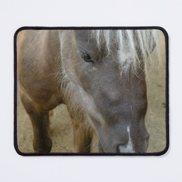 Item preview, Miniature Brown Horse Closeup designed and sold by Martha Sherman.
